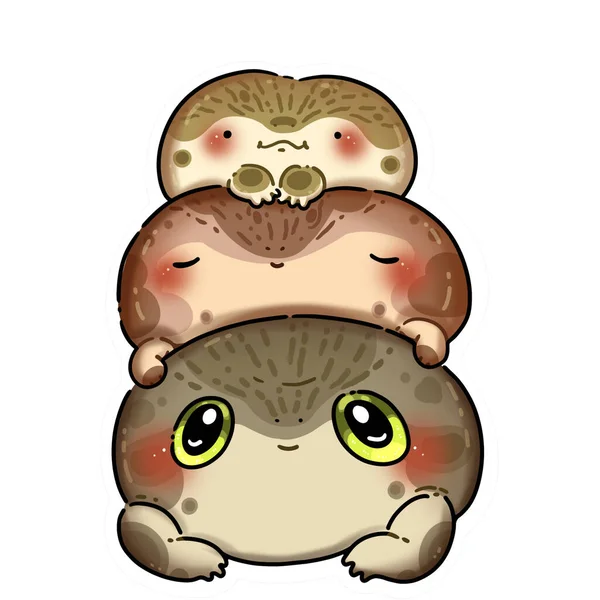 Lustige Süße Regenkröten Nette Illustration Lustige Digitale Illustration Zeichnung Für — Stockfoto
