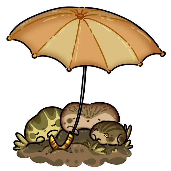 Dešťové Ropuchy Pod Deštníkem Pohodlí Teplo Rodině Rodina Jodhed Žáby Royalty Free Stock Fotografie