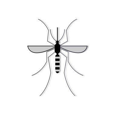 art illustration symbol macot animal icon design nature concept insect of mosquito