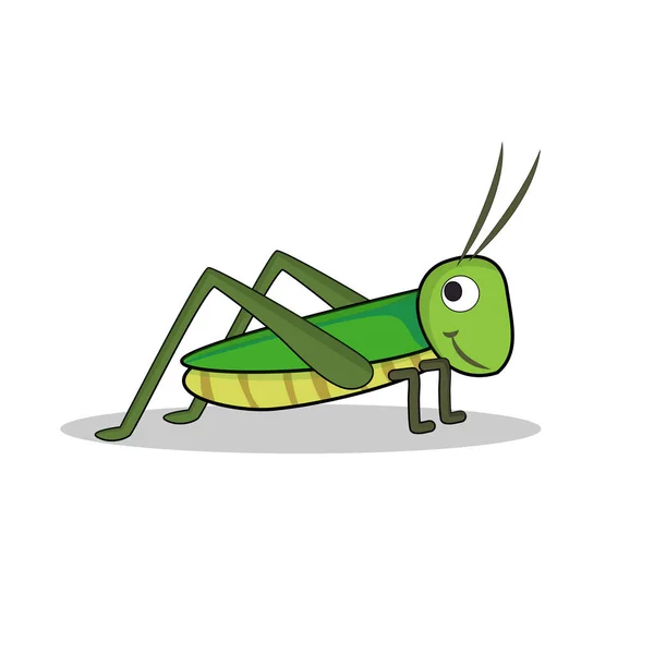 art illustration symbol macot animal icon design nature concept insect of grasshopper