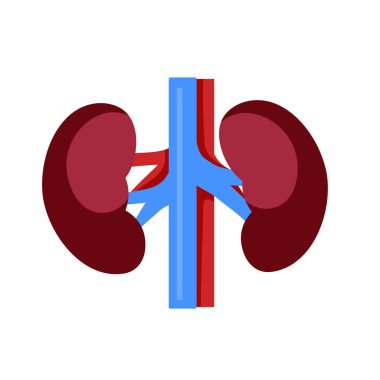 Art Illustration Design Concept Anatomy Body Human Symbol Icon Logo Realistic Of Spleen