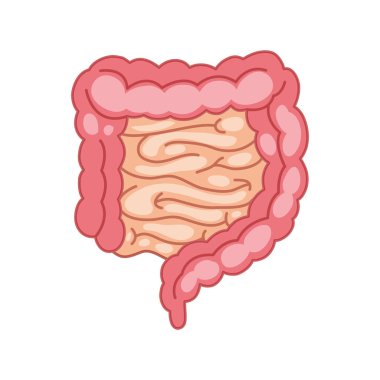 Art Illustration Design Concept Anatomy Body Human Symbol Icon Logo Realistic Of intestines