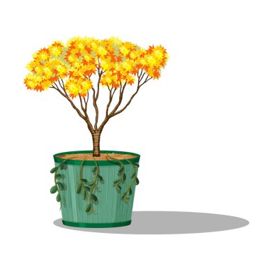 Art Illustration design symbol icon botanical logo of realistic plant flower in pot