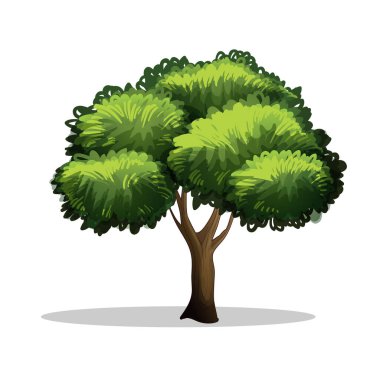 Art Illustration object symbol icon botanical logo plants of realistic tree forest