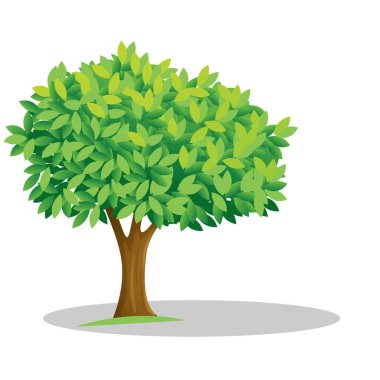 Art Illustration object symbol icon botanical logo plants of realistic tree forest