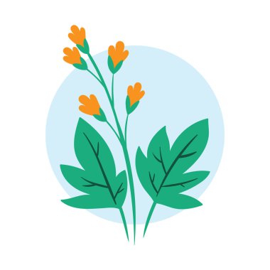 Art Illustration background wallpaper symbol icon botanical logo plants of aesthetic flower leaf