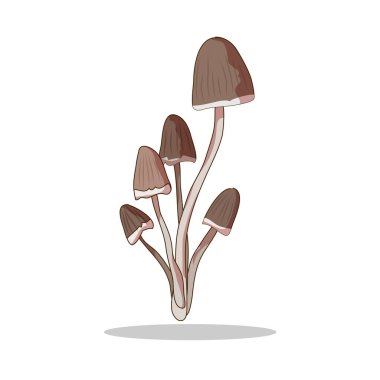 Art illustration Symbol logo botany design concept icon vegetables of mushroom