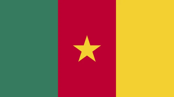 Art Illustration Σχέδιο Εθνική Σημαία Σύμβολο Χώρα Του Καμερούν — Διανυσματικό Αρχείο