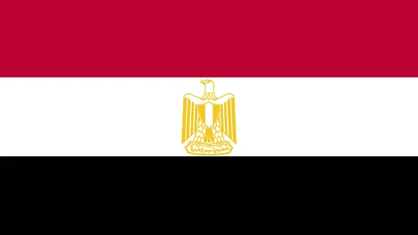 Mısırın Işaret Sembollü Bayrağı Ile Sanat Tasarımı Ulusu Bayrağı — Stok Vektör