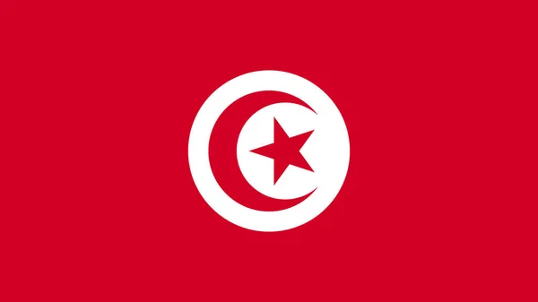 Arte Ilustração Design Bandeira Nação Com Símbolo Sinal País Tunisa — Vetor de Stock
