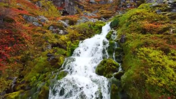 Berg Flod Island Vackert Vattenfall Rent Vatten Och Eko Rent — Stockvideo