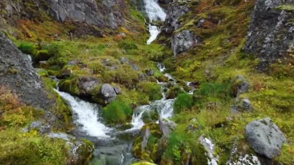Ορεινός Ποταμός Στην Ισλανδία Όμορφος Καταρράκτης Καθαρό Νερό Και Οικολογικά — Αρχείο Βίντεο