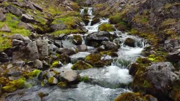 Hegyi Folyó Izlandon Gyönyörű Vízesés Tiszta Víz Ökológiai Tiszta Terület — Stock videók