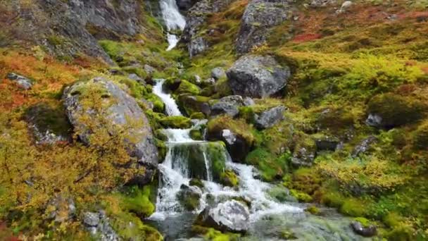 Río Montaña Islandia Hermosa Cascada Agua Pura Área Limpia Ecológica — Vídeo de stock