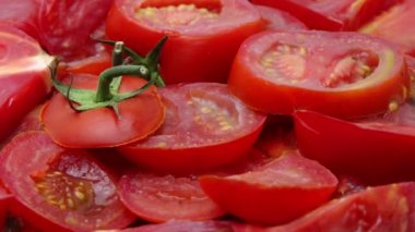 Tomato dries up becomes moldy and rots, time lapse decay process. Spoiled harvest, world hunger. High quality 4k footage