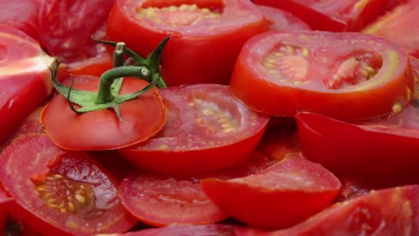 Tomato Dries Becomes Moldy Rots Time Lapse Decay Process Spoiled — Stock Video