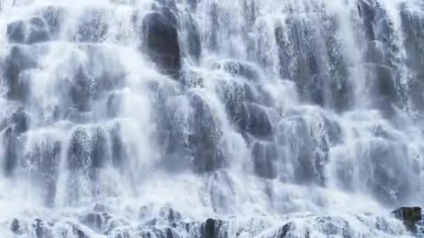 クリアストリーム石の岩を介して実行している豊富な川のスローモーションで石の底に流れる 野生の山の川の水は夏の日に水しぶき高品質4K映像 — ストック動画