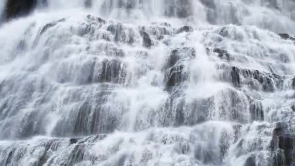 Καθαρό Ρέμα Που Διατρέχει Πέτρινους Ογκόλιθους Άφθονο Ποτάμι Που Ρέει — Αρχείο Βίντεο