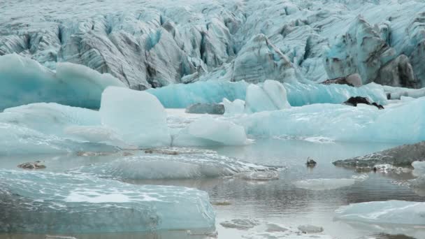 Iceberg Flutuando Lagoa Bela Paisagem Natureza Inverno Islândia Gelo Azul — Vídeo de Stock