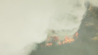 Yangın, araba hurdalığında büyük bir yangın, kara duman atmosferi kirletiyor, ekolojik felaket, küresel ısınma sorunu. Yüksek kalite 4k görüntü