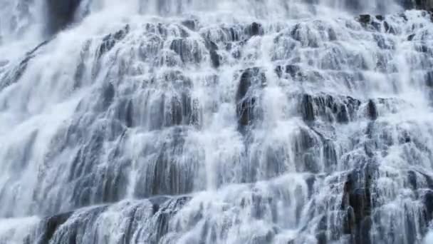 Powerful Dynjandi Waterfall Iceland Nature Landscape High Quality Footage — Stock Video