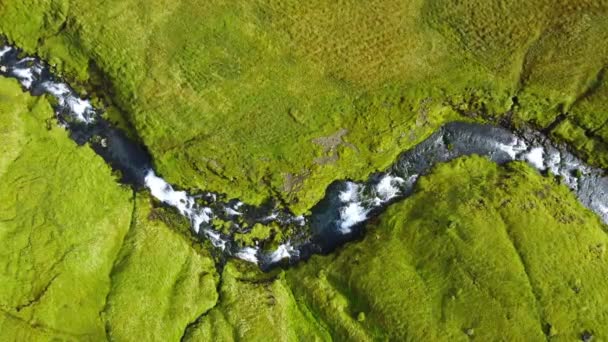 Wulkaniczny Islandzki Krajobraz Jesień Sezon Żółty Mech Dziwny Widok Powietrza — Wideo stockowe