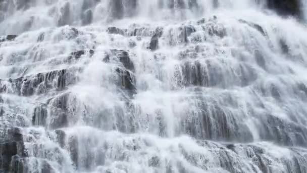 Potężny Wodospad Dynjandi Islandzkim Krajobrazie Przyrody Wysokiej Jakości Materiał — Wideo stockowe