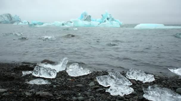 黑色沙滩上的冰块 冰岛自然中的纯蓝色冰山 8K4 210Bit渐变测井 — 图库视频影像