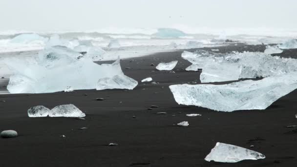 Kawałek Lodu Czarnej Piaszczystej Plaży Czysta Niebieska Góra Lodowa Islandii — Wideo stockowe