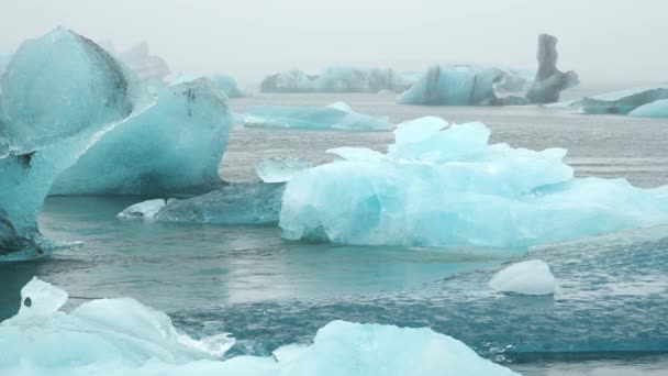 黒砂のビーチでの氷の塊 アイスランドの自然の純粋な青氷山 10ビットグレードのログ — ストック動画