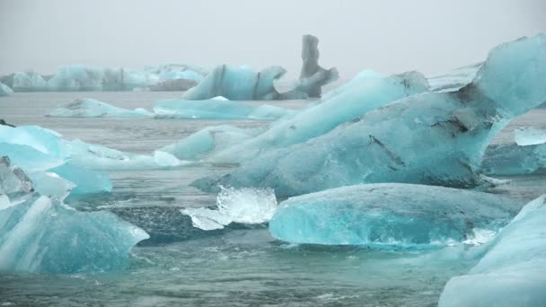 黒砂のビーチでの氷の塊 アイスランドの自然の純粋な青氷山 10ビットグレードのログ — ストック動画