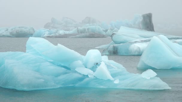 Blauer Eisberg Nebliger Gletscherlagune Isländische Natur Pur Schönes Naturwunder Norden — Stockvideo