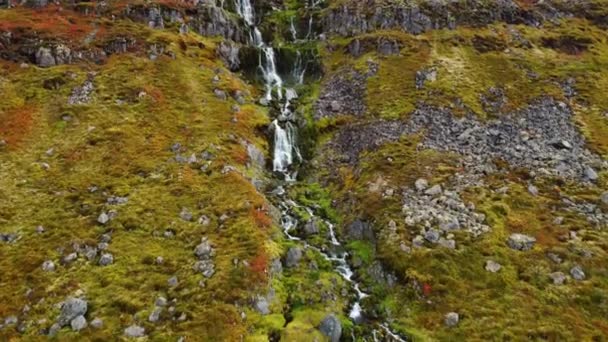 Piccola Cascata Nella Magica Natura Montana Islandese Acqua Pura Area — Video Stock