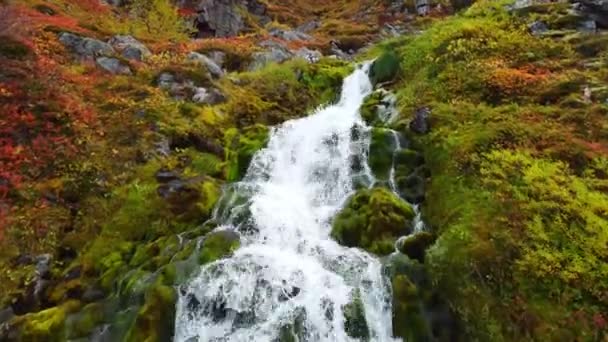 冰岛神奇山区的小瀑布 清澈的水和生态洁净的地区 空中景观4K — 图库视频影像