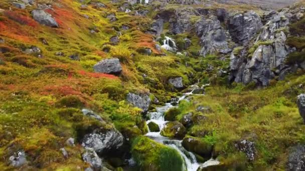 Kleiner Wasserfall Magischer Isländischer Gebirgsnatur Sauberes Wasser Und Ökologisch Sauberes — Stockvideo