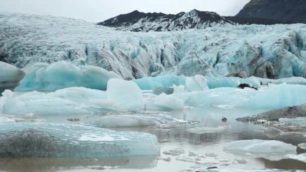 7680X4320 Айсберг Плавающий Лагуне Красивый Зимний Пейзаж Природы Исландии Чистый — стоковое видео