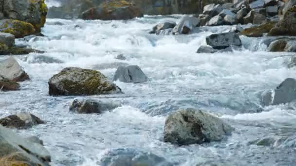 7680X4320 清澈的水流流过石堆 夏天的日子里 野生的山川流水在飞溅 高分辨率电影Uhd 4320P — 图库视频影像