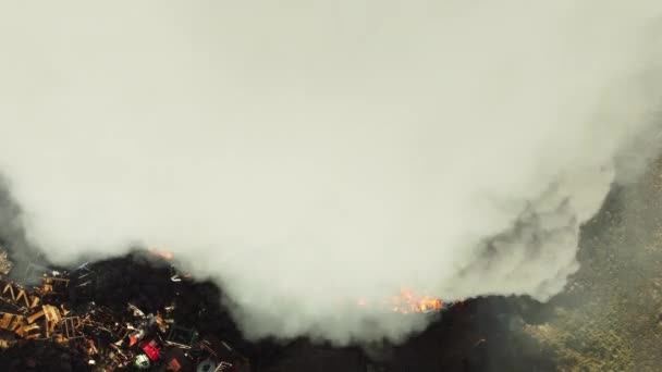 Пожар Сильный Пожар Свалке Черный Дым Загрязняет Атмосферу Экологическая Катастрофа — стоковое видео