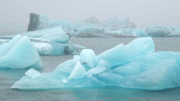 7680X4320 Blauer Eisberg Nebliger Gletscherlagune Isländische Natur Pur Schönes Naturwunder — Stockvideo
