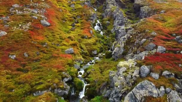 Магічний Осінній Пейзаж Ісландії Гірський Каньйон Чистим Водоспадом Екологічно Чистій — стокове відео