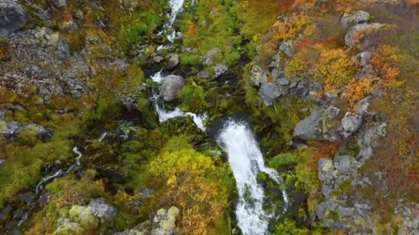 アイスランドの魔法の秋の風景 エコクリーンエリアで純粋な滝と山の峡谷 高品質の空中4K映像 — ストック動画