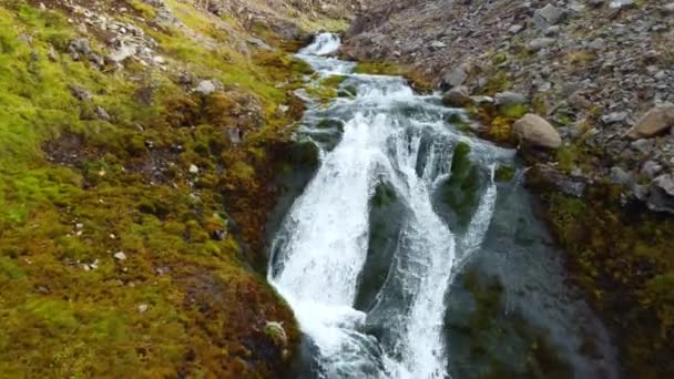 Varázslatos Őszi Táj Izlandon Hegyi Kanyon Tiszta Vízeséssel Öko Tiszta — Stock videók
