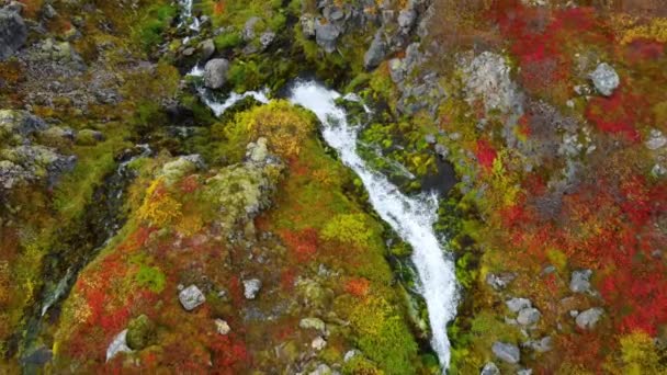 Râu Montan Islanda Cascadă Frumoasă Apă Pură Zonă Ecologică Curată — Videoclip de stoc
