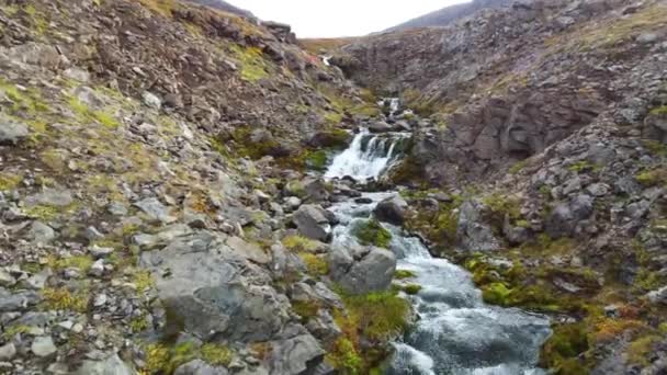 Górska Rzeka Islandii Piękny Wodospad Czysta Woda Ekologiczny Obszar Czysty — Wideo stockowe