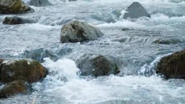 7680X4320 Reines Wasser Fließt Durch Felsbrocken Wildes Gebirgswasser Das Sommertagen — Stockvideo