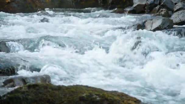 7680X4320 Reines Wasser Fließt Durch Felsbrocken Wildes Gebirgswasser Das Sommertagen — Stockvideo