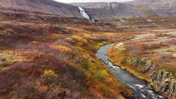 Islande Nature Pure Paysage Aérien Montagnes Volcaniques Magiques Automne Images — Video