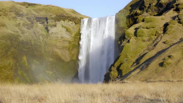Skogafoss Berühmter Wasserfall Island Herbstsaison Skoga River Beliebte Touristenattraktion Aufgenommen — Stockvideo