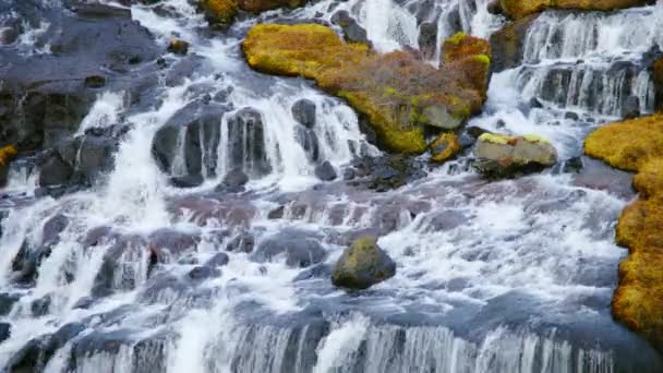 Vackra Natur Vattenfall Island Rent Turkost Vatten Mountain River Skott — Stockvideo