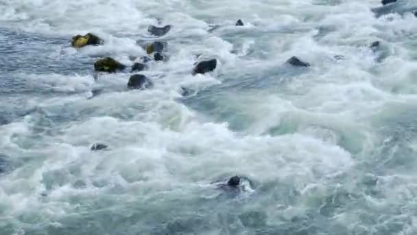 清澈的水流流过石堆 盛夏的野生山河水花 在8K内开枪 — 图库视频影像